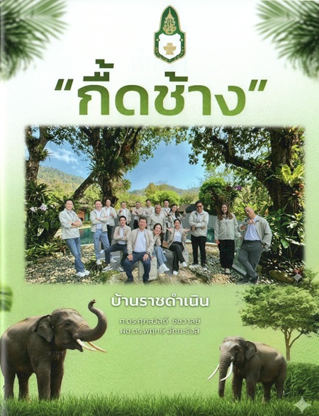 มาใหม่